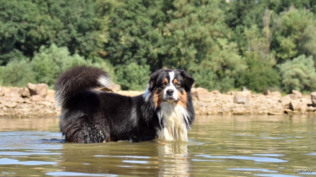 Perfect beauty champion des Rivages du Lemboulas