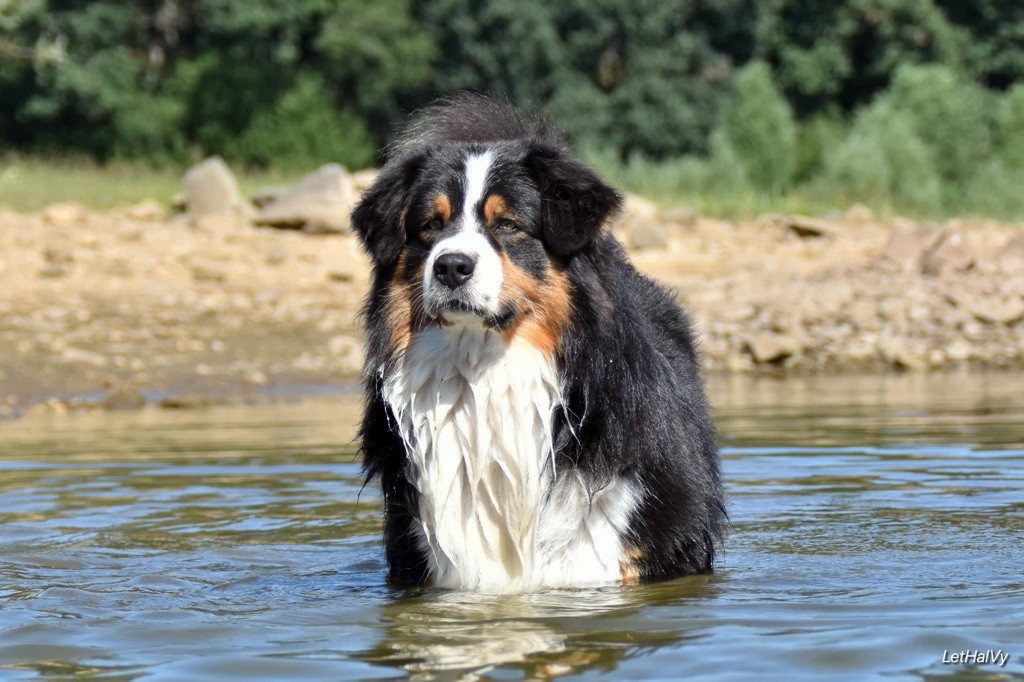 Perfect beauty champion des Rivages du Lemboulas