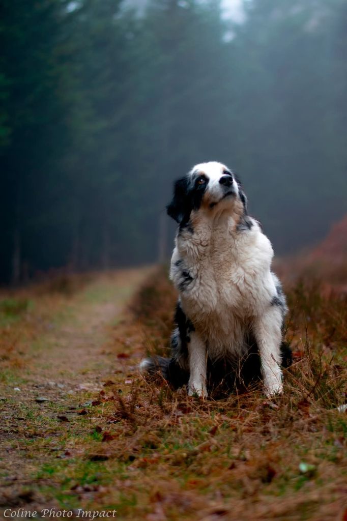 Pepper (Sans Affixe)